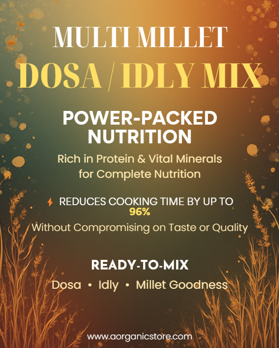 Ready Mix Plain Dosa-200Gms