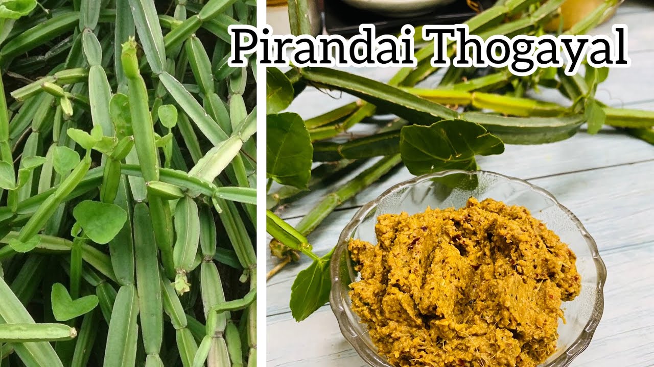 Pirandai Chutney-250Gms