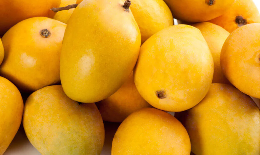 Premium King Size Organic Mangoes-6Pcs