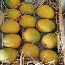Premium King Size Organic Mangoes-6Pcs