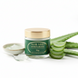 Aloe Vera Moisturizer-50Gms