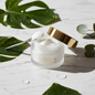 Light Moisturising Face Cream